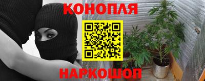 мяу мяу мука Новоалтайск
