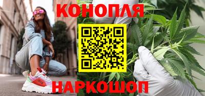 индика Новоалександровск