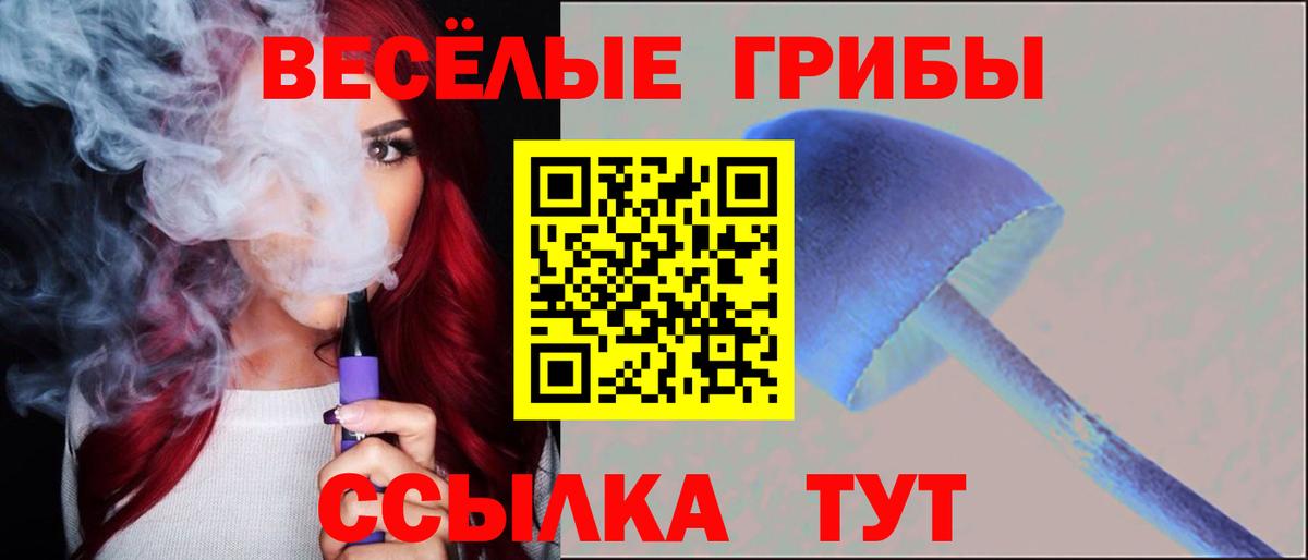 Галлюциногенные грибы Psilocybe Дзержинск
